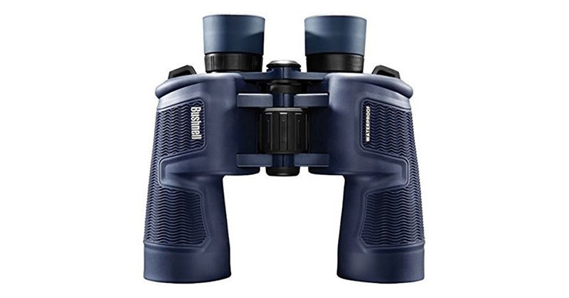 best day and night vision binoculars